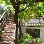 Ulivo By Interhome Montescudaio