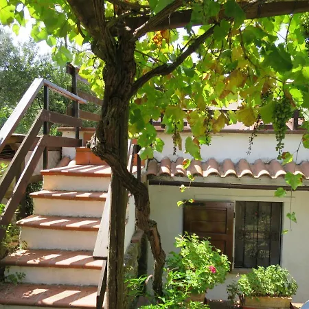 Ulivo By Interhome Montescudaio