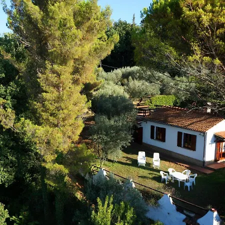 Ulivo By Interhome